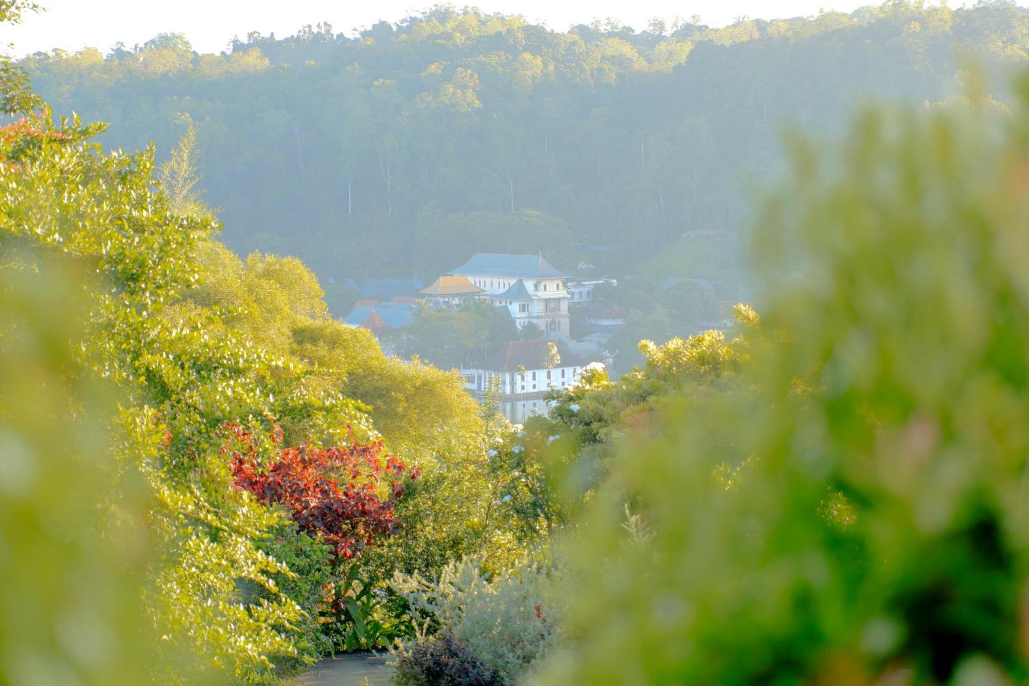 Castle Hill Bungalow แคนดี้ ภายนอก รูปภาพ